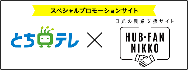 スペシャルプロモーションサイト