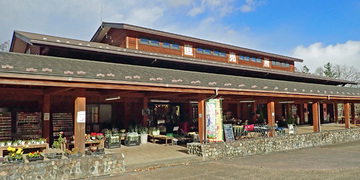 日光ブランド情報発信センター／だいやの森旬菜館