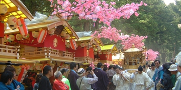 弥生祭（ やよいさい）