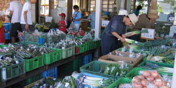 日光の旬な農産情報！