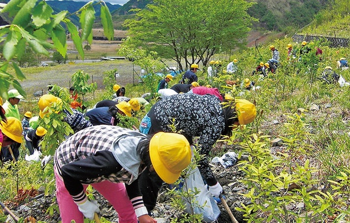 足尾体験植樹　足尾に緑を育てる会