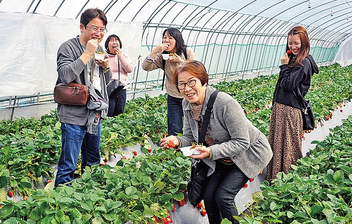 いちご狩り体験　日光花いちもんめ