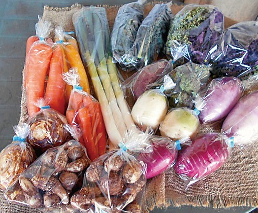 季節の野菜収穫　日光あおぞら農園