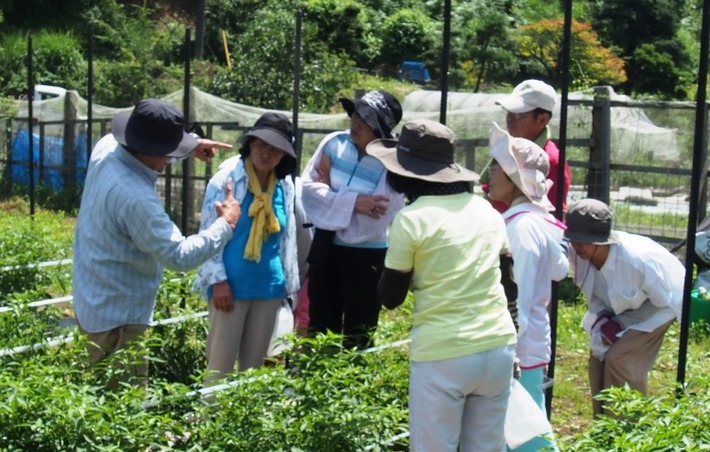 日光とうがらしを使った瓶詰め、夏いちごを使ったジャム作り　山久保地区活性化組合
