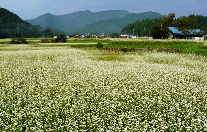 三たて蕎麦　長畑庵